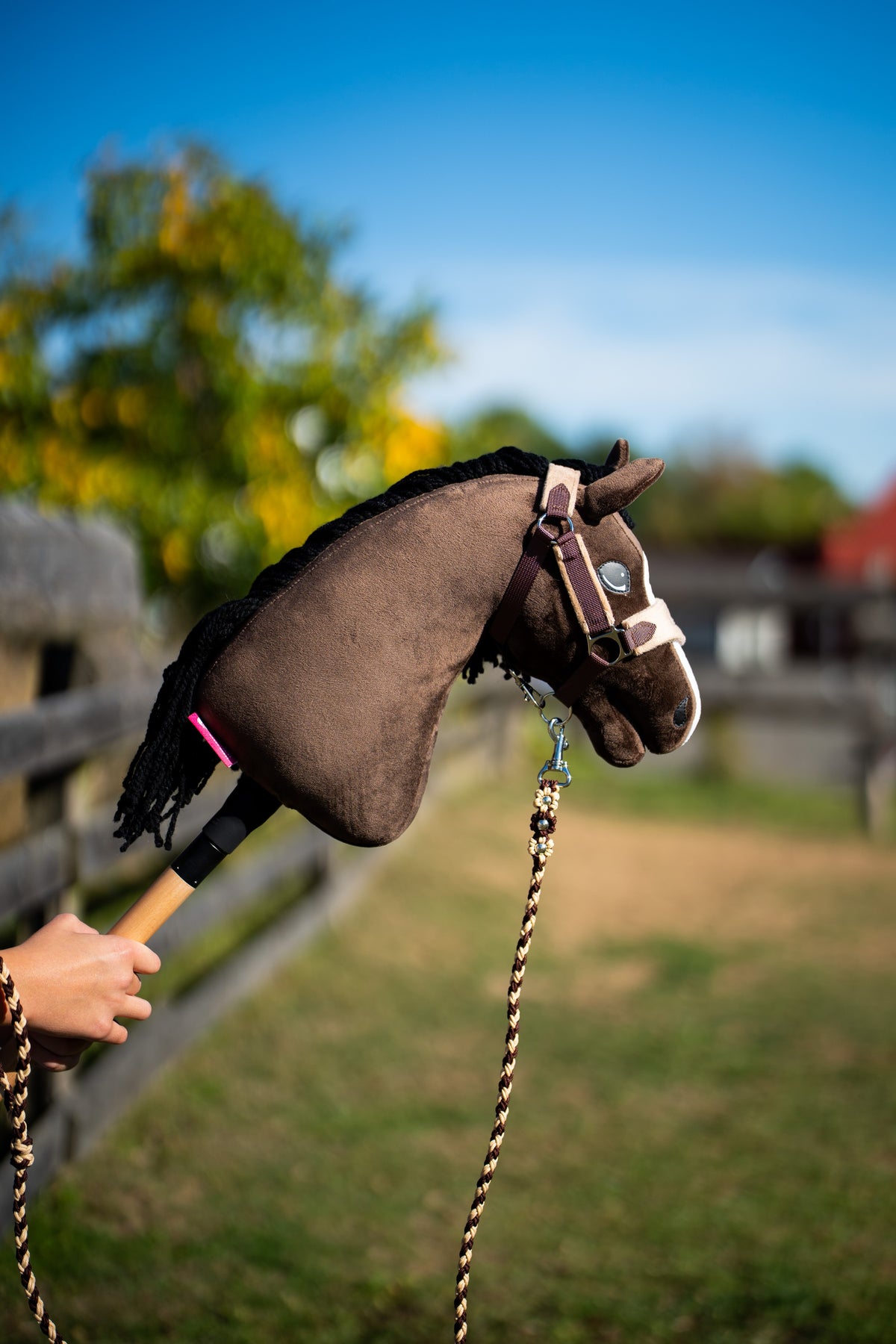 Hobby Horse Sisi in a sunny paddock wearing a brown halter with a light noseband and a braided lead rope