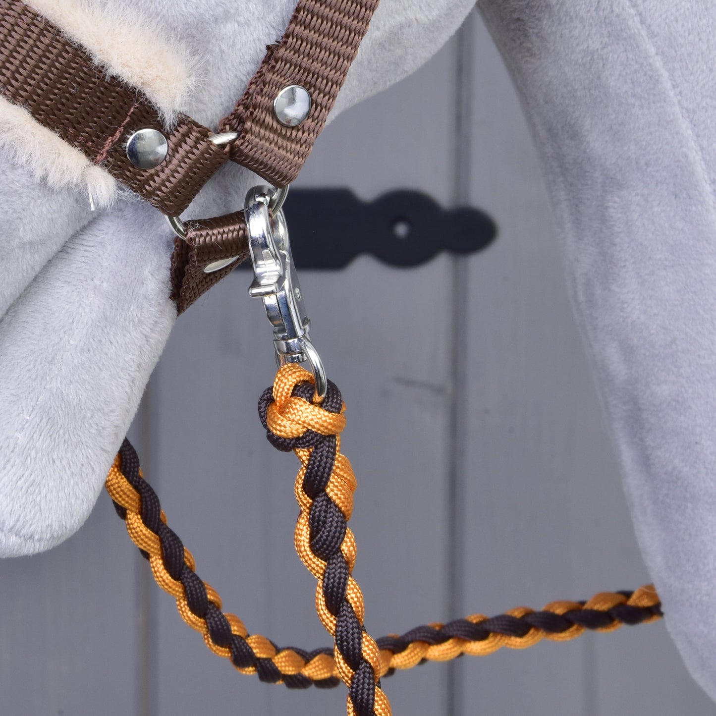 Set Perfect Combination Bruin