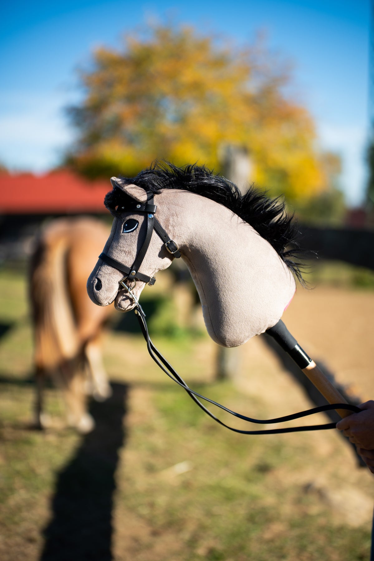 Kop van Hobby Horse Thor met zwart Halster van Hobby Horse LarDen in een zonnige paddock, grijs pluche met zwarte garenmane, met het Complete zwarte hoofdstel met diamanten en bijbehorende teugels