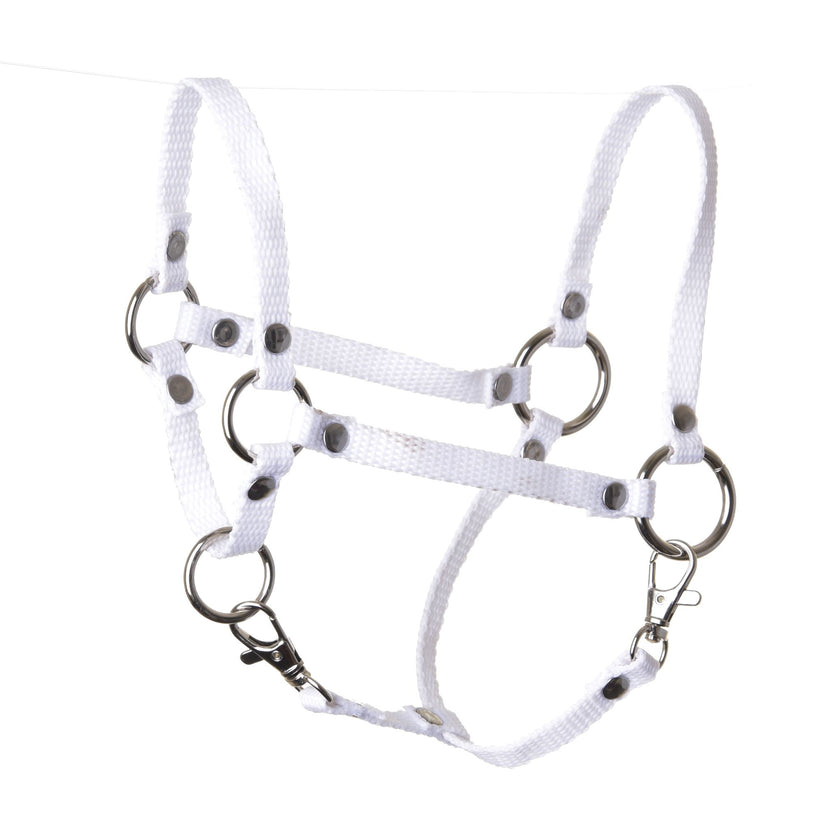 Halster wit