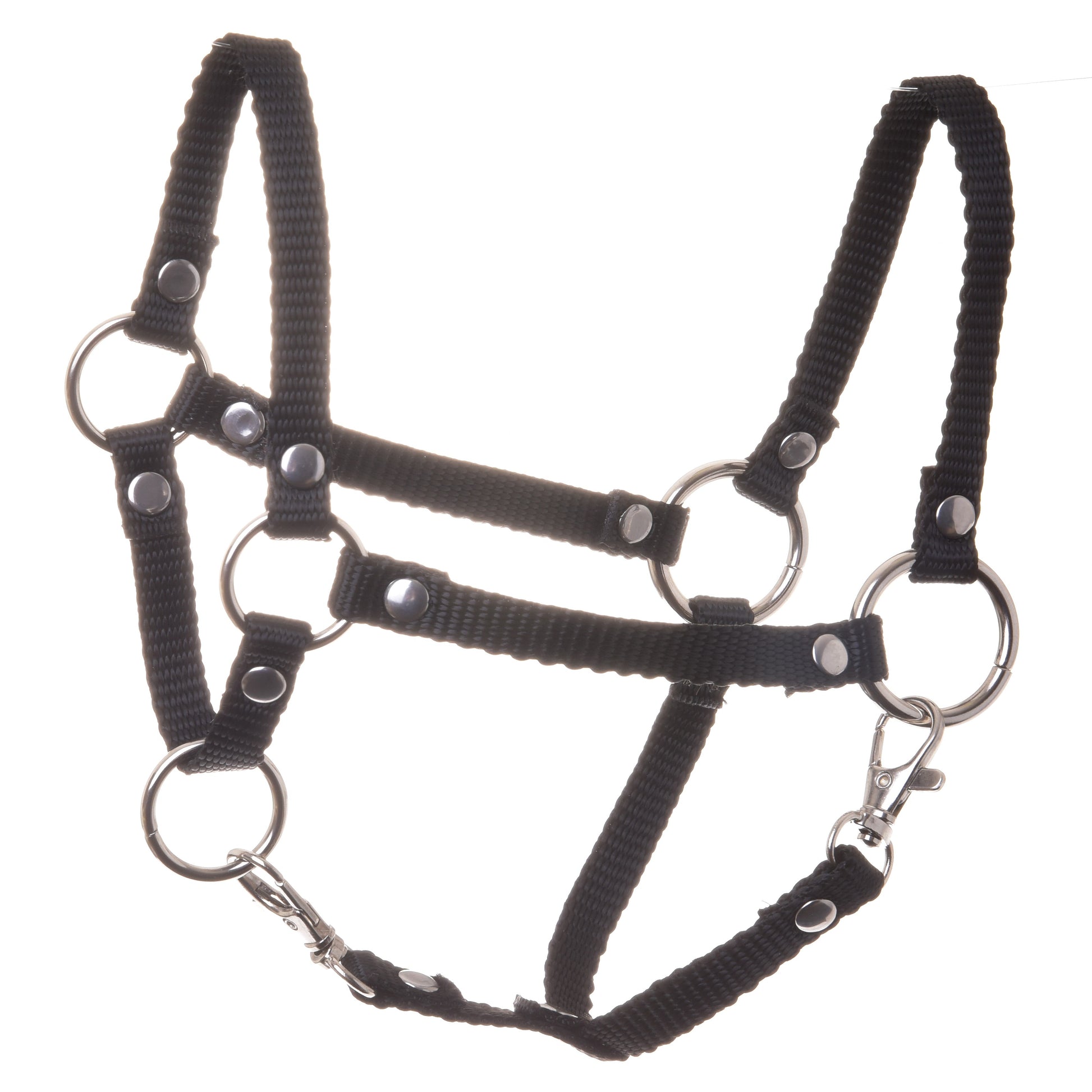 Halster zwart