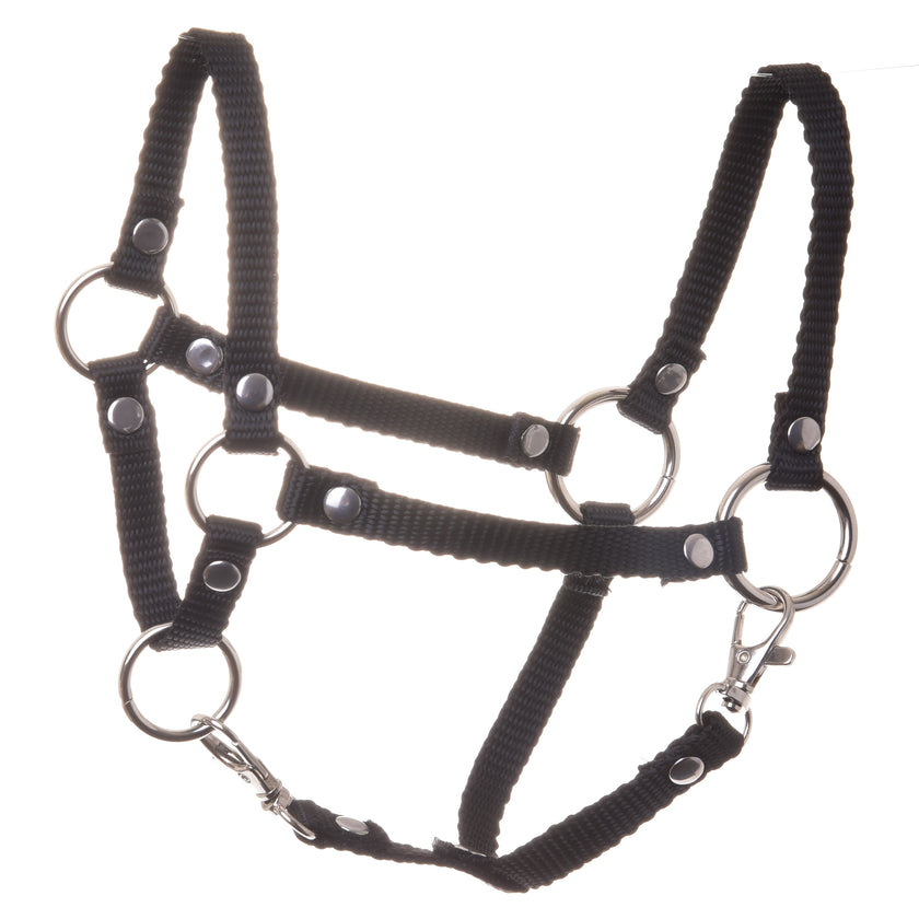 Halster zwart