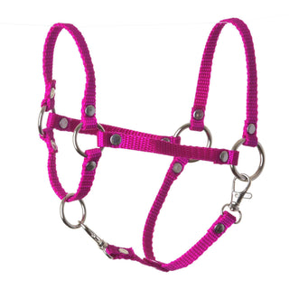Halter rose