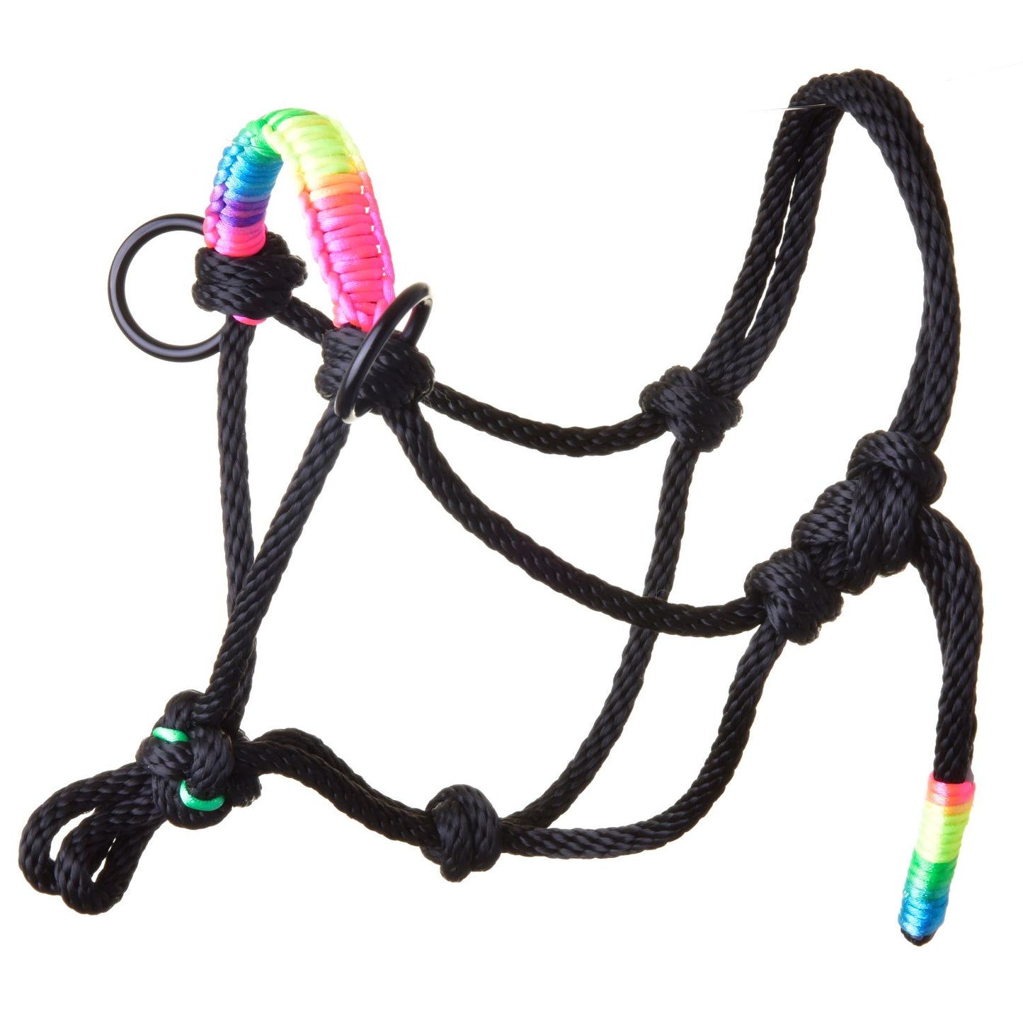 Rope halter Rainbow